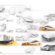IAAD Scholarships for 2011-2012 Master - Image 12